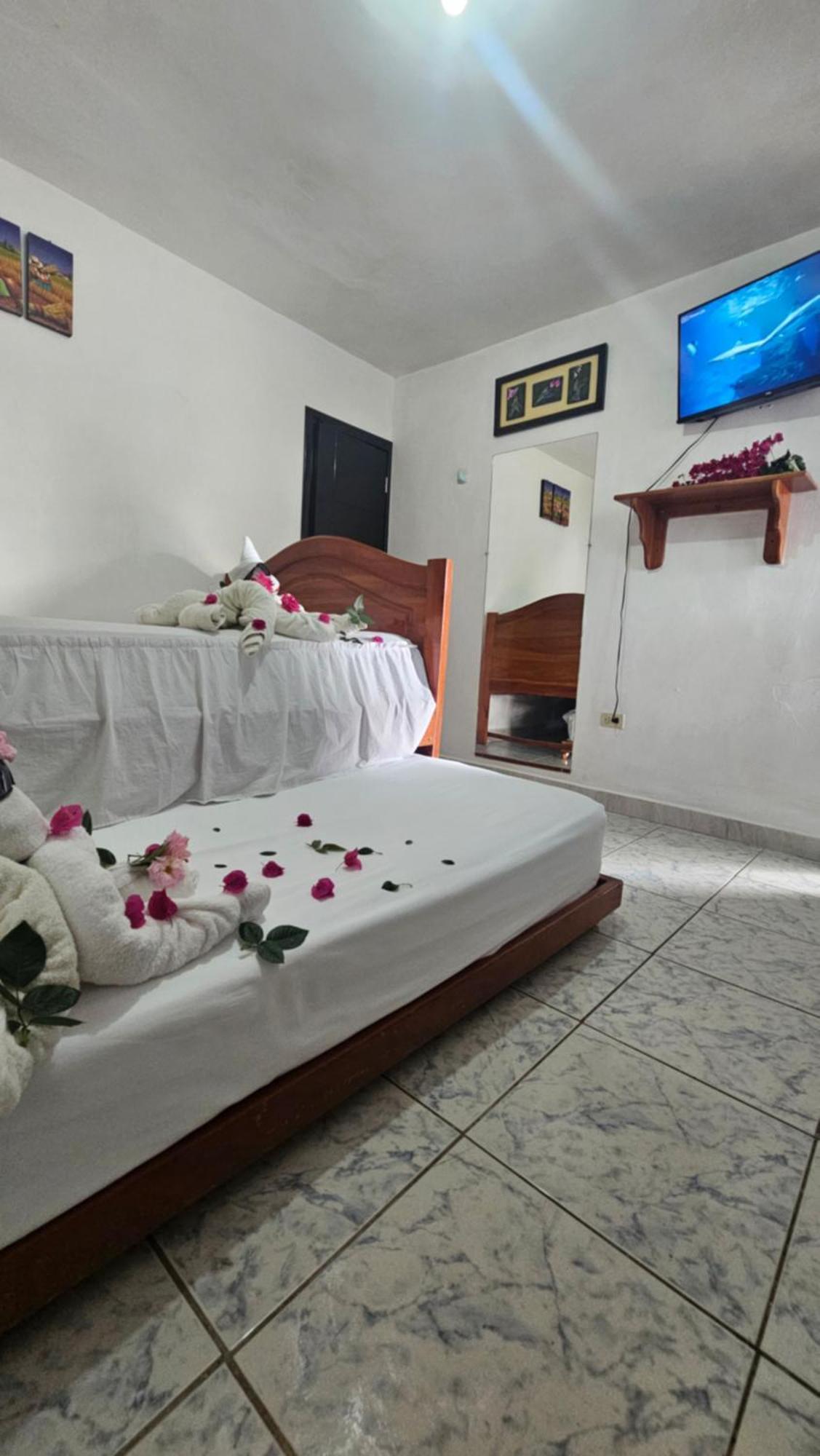 Flor'S House Apartment ซานกริสโตวัล ภายนอก รูปภาพ
