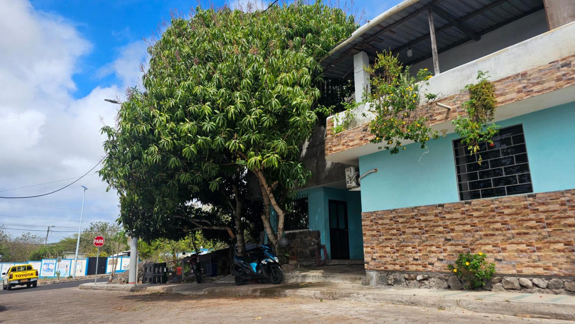 Flor'S House Apartment ซานกริสโตวัล ภายนอก รูปภาพ
